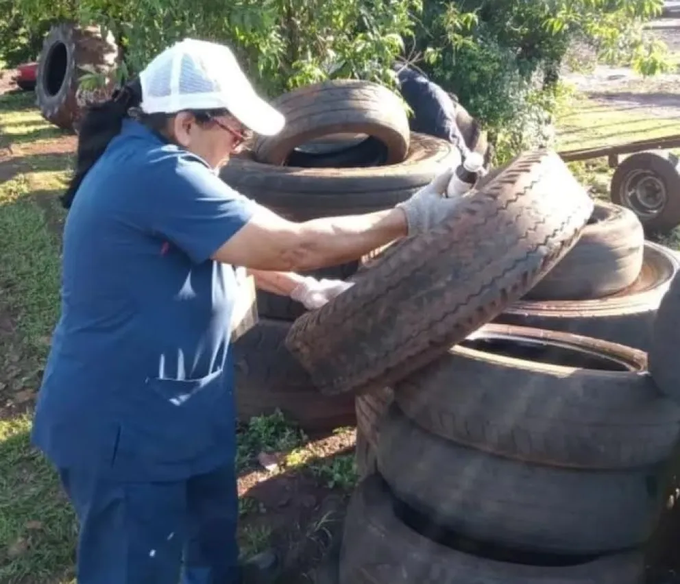 Misiones en alerta por brote de chikungunya en el NOA